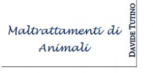 avvocato-penalista-catania-maltrattamenti-di-animali